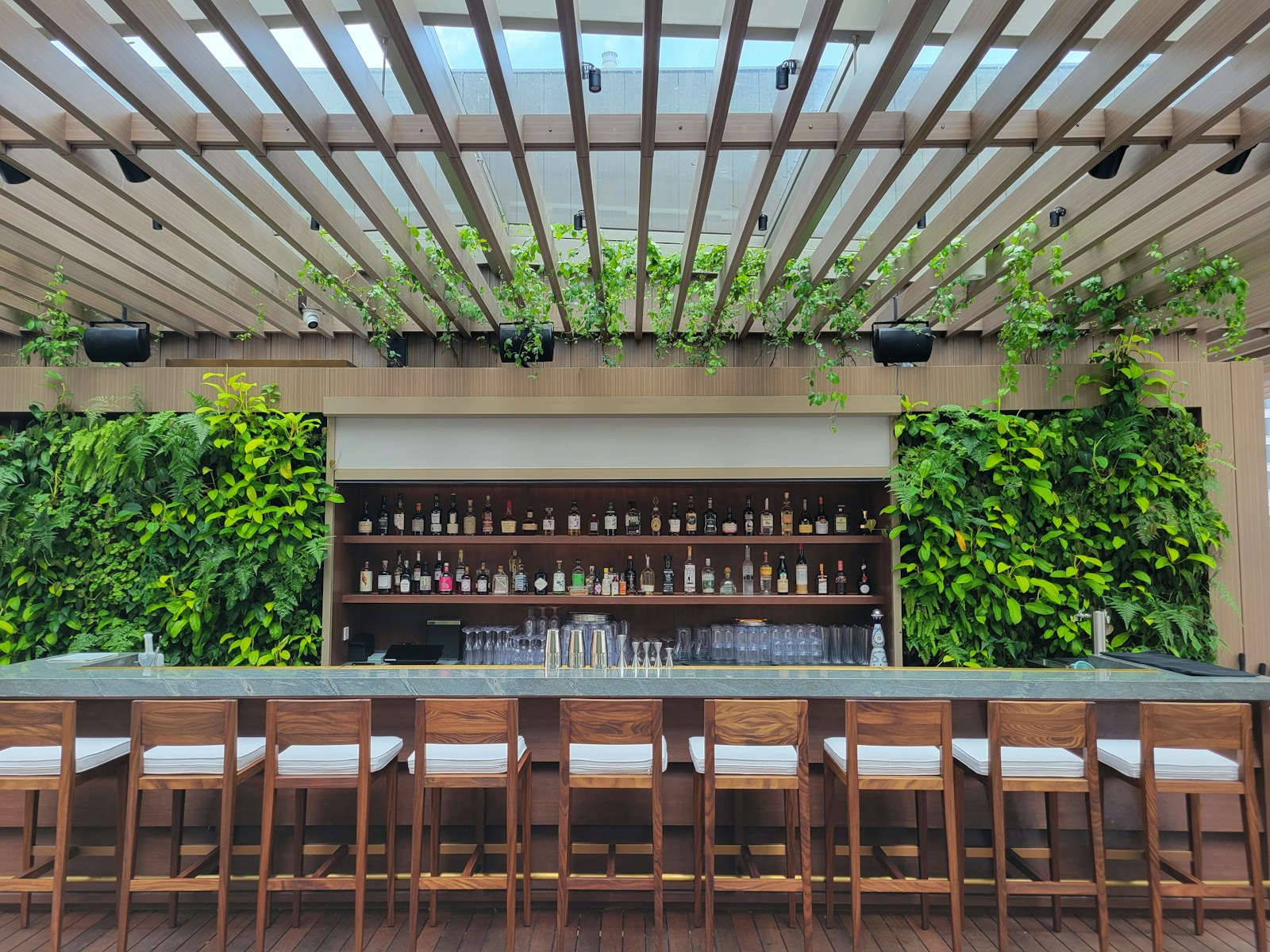 A bar with lots of wooden chairs and plants growing on the wall